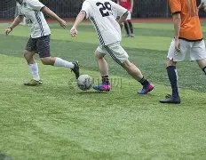 明星税务负,每年纳税千,万以上仅,333体育网址,333体育平台,333体育官网app,333体育官网登录