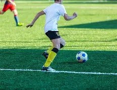 去年沦为鱼,今夏闯入豪,五位球星下,333体育网址,333体育平台,333体育官网app,333体育官网登录