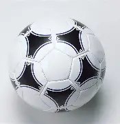 体育平台,资讯,333体育平台,333体育网址,333体育平台,333体育官网app,333体育官网登录