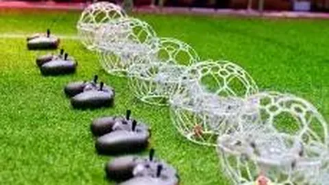 333体育平台 产品 115331 clo