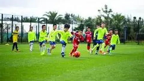 333体育平台 资讯 142743 l5q