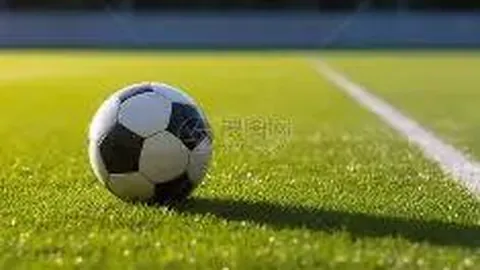 333体育平台 产品 120700 2vs