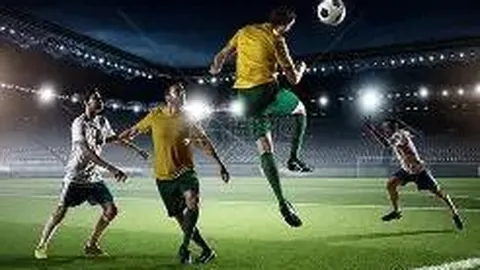 333体育平台 资讯 141146 9ug