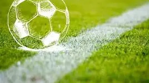 333体育平台 产品 141133 m8o