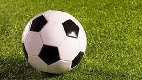 333体育平台 资讯 140224 hyr