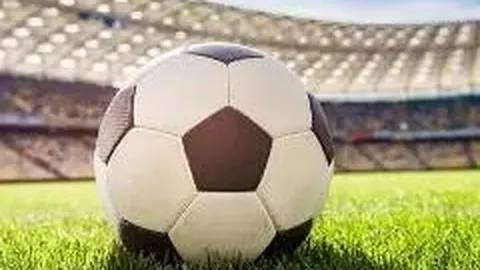 333体育平台 资讯 141400 7ow