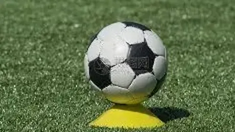 333体育平台 产品 113032 qny